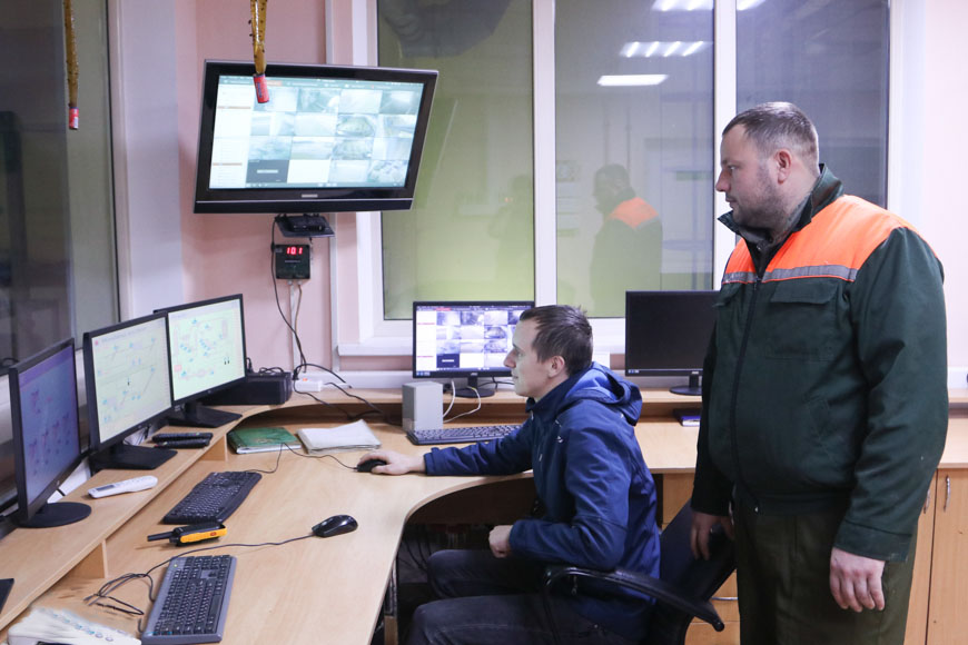 Рогозница 2